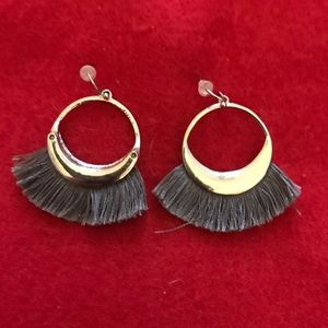Silver fringe earrings pierced